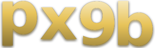 px9b โลโก้